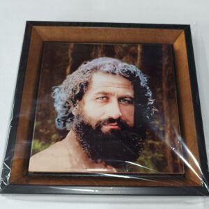 قاب کاشی تصویر میرزا کوچک جنگلی