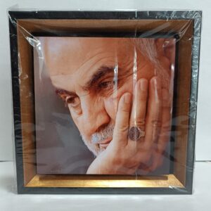 قاب کاشی حاج قاسم سلیمانی